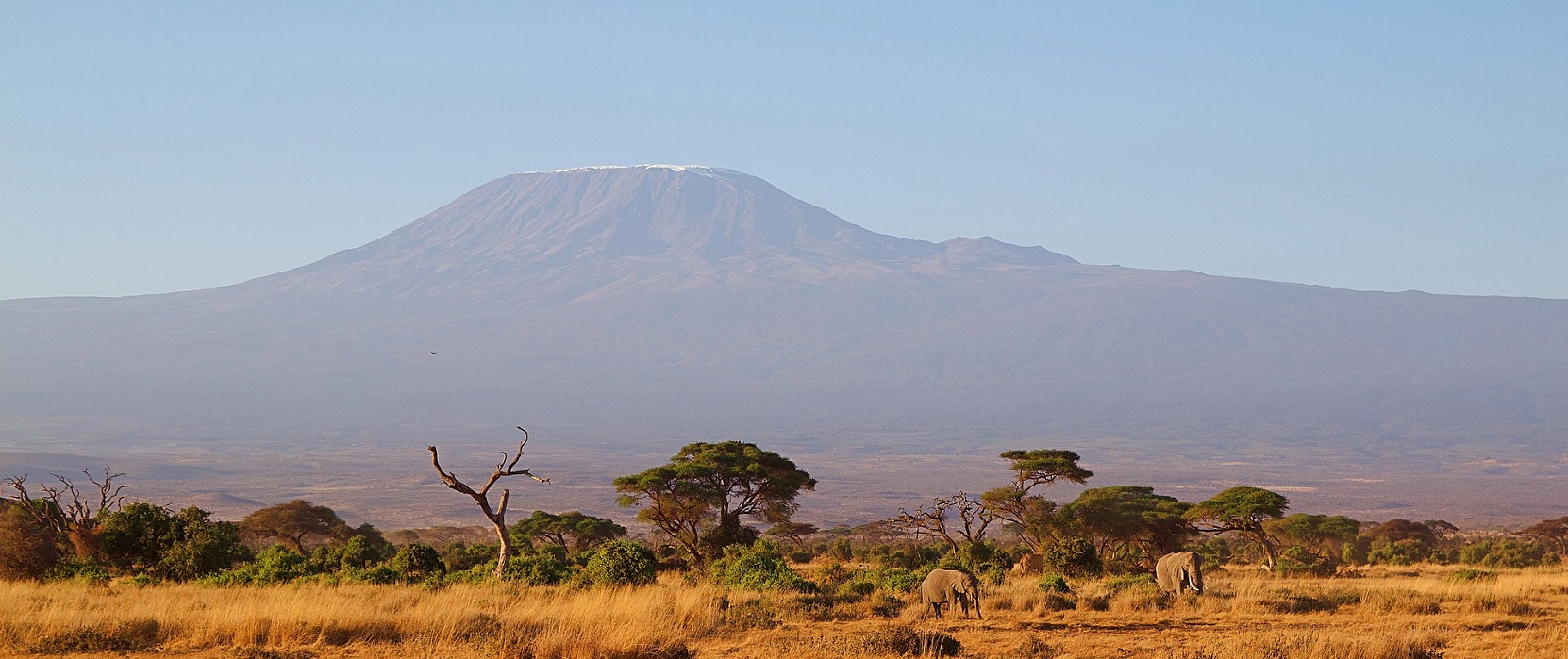 Острова юго восточной африки. Жирафы Кения Килиманджаро. Горы на Юго востоке Африки. Остров на Юго востоке Африки. Горный архипелаг Юго-Восточной Африки.